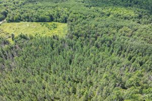 West20 Davies Rd, , Phelps,  WI 54554 USA