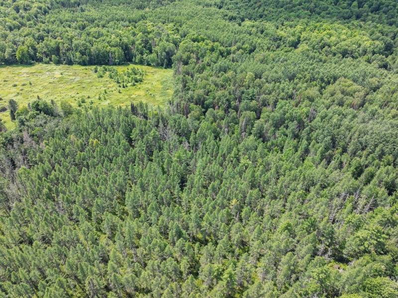 West20 Davies Rd, , Phelps,  WI 54554 USA