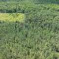 West20 Davies Rd, , Phelps,  WI 54554 USA