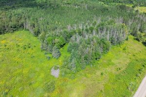 West20 Davies Rd, , Phelps,  WI 54554 USA