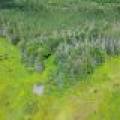 West20 Davies Rd, , Phelps,  WI 54554 USA
