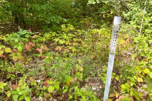 103ac On Pine Lake Rd, , Minocqua,  WI 54548 USA