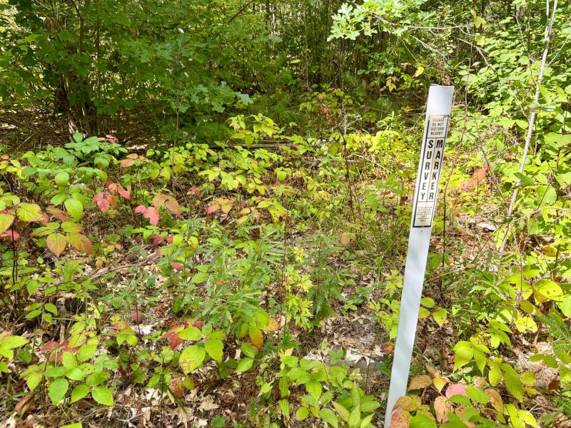 103ac On Pine Lake Rd, , Minocqua,  WI 54548 USA
