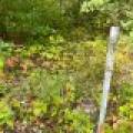 103ac On Pine Lake Rd, , Minocqua,  WI 54548 USA