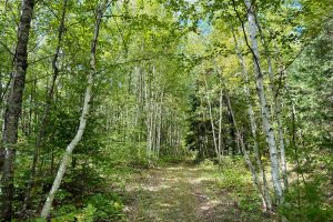 103ac On Pine Lake Rd, , Minocqua,  WI 54548 USA