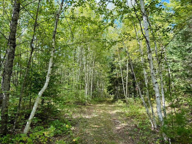 103ac On Pine Lake Rd, , Minocqua,  WI 54548 USA