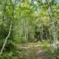 103ac On Pine Lake Rd, , Minocqua,  WI 54548 USA