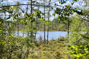 103ac On Pine Lake Rd, , Minocqua,  WI 54548 USA
