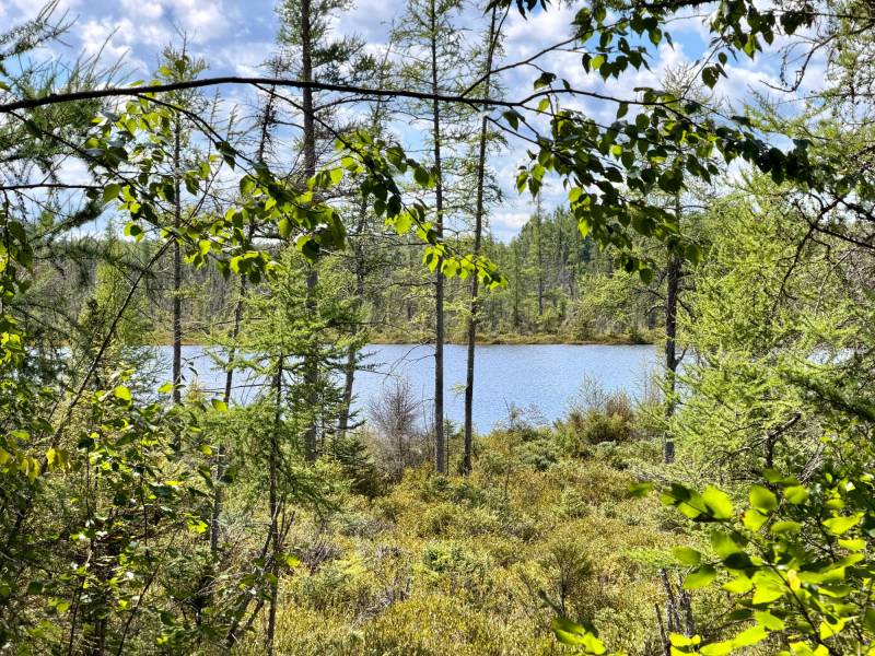 103ac On Pine Lake Rd, , Minocqua,  WI 54548 USA