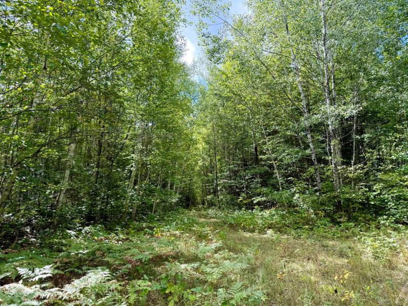 103ac On Pine Lake Rd, , Minocqua,  WI 54548 USA