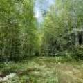 103ac On Pine Lake Rd, , Minocqua,  WI 54548 USA