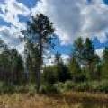 103ac On Pine Lake Rd, , Minocqua,  WI 54548 USA