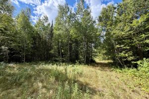 103ac On Pine Lake Rd, , Minocqua,  WI 54548 USA