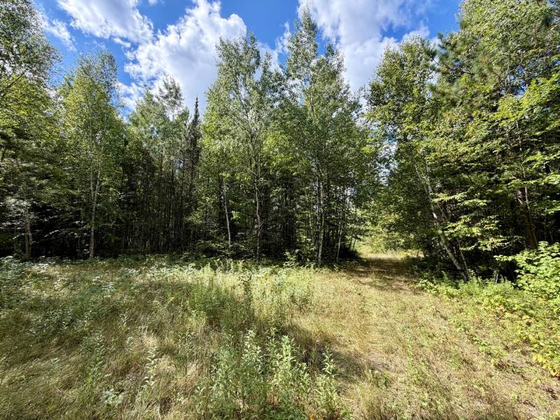103ac On Pine Lake Rd, , Minocqua,  WI 54548 USA
