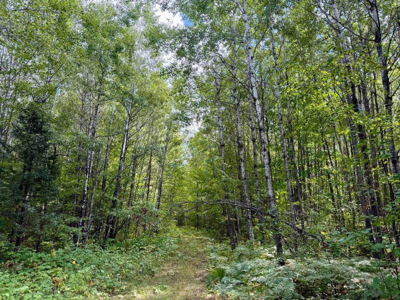 103ac On Pine Lake Rd, , Minocqua,  WI 54548 USA