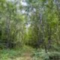 103ac On Pine Lake Rd, , Minocqua,  WI 54548 USA