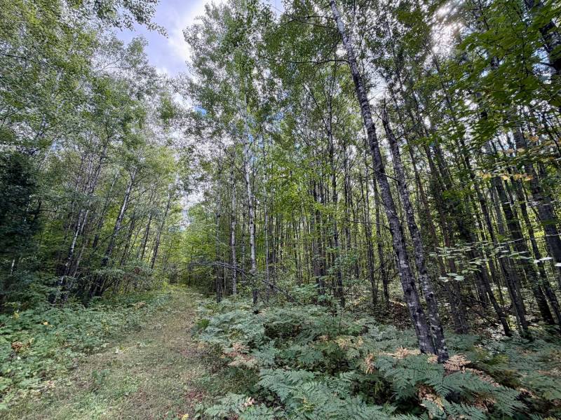 103ac On Pine Lake Rd, , Minocqua,  WI 54548 USA
