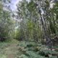 103ac On Pine Lake Rd, , Minocqua,  WI 54548 USA
