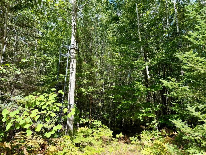 103ac On Pine Lake Rd, , Minocqua,  WI 54548 USA