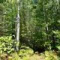 103ac On Pine Lake Rd, , Minocqua,  WI 54548 USA
