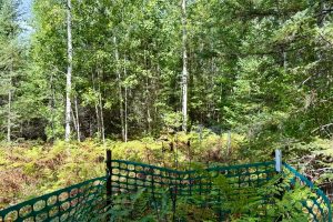 103ac On Pine Lake Rd, , Minocqua,  WI 54548 USA