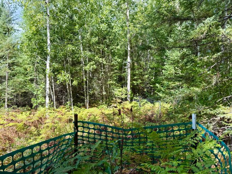103ac On Pine Lake Rd, , Minocqua,  WI 54548 USA