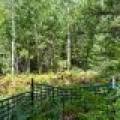 103ac On Pine Lake Rd, , Minocqua,  WI 54548 USA