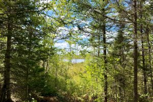 103ac On Pine Lake Rd, , Minocqua,  WI 54548 USA
