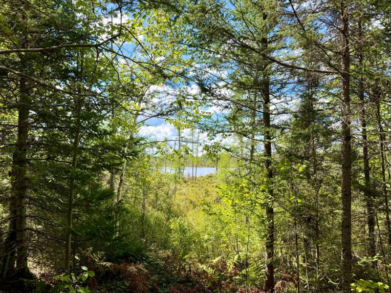 103ac On Pine Lake Rd, , Minocqua,  WI 54548 USA