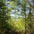103ac On Pine Lake Rd, , Minocqua,  WI 54548 USA
