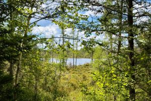 103ac On Pine Lake Rd, , Minocqua,  WI 54548 USA