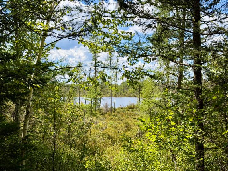 103ac On Pine Lake Rd, , Minocqua,  WI 54548 USA