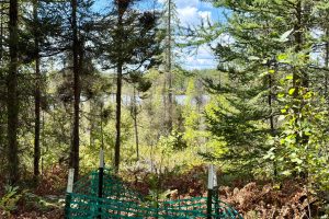 103ac On Pine Lake Rd, , Minocqua,  WI 54548 USA