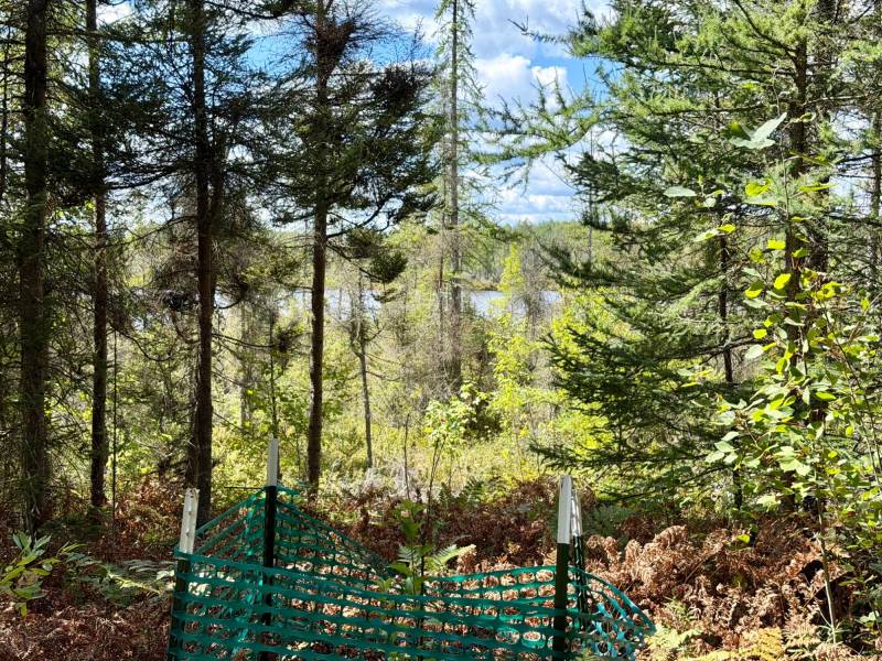 103ac On Pine Lake Rd, , Minocqua,  WI 54548 USA