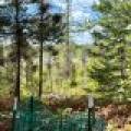 103ac On Pine Lake Rd, , Minocqua,  WI 54548 USA