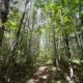 103ac On Pine Lake Rd, , Minocqua,  WI 54548 USA