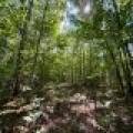 103ac On Pine Lake Rd, , Minocqua,  WI 54548 USA