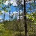 103ac On Pine Lake Rd, , Minocqua,  WI 54548 USA
