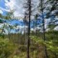 103ac On Pine Lake Rd, , Minocqua,  WI 54548 USA
