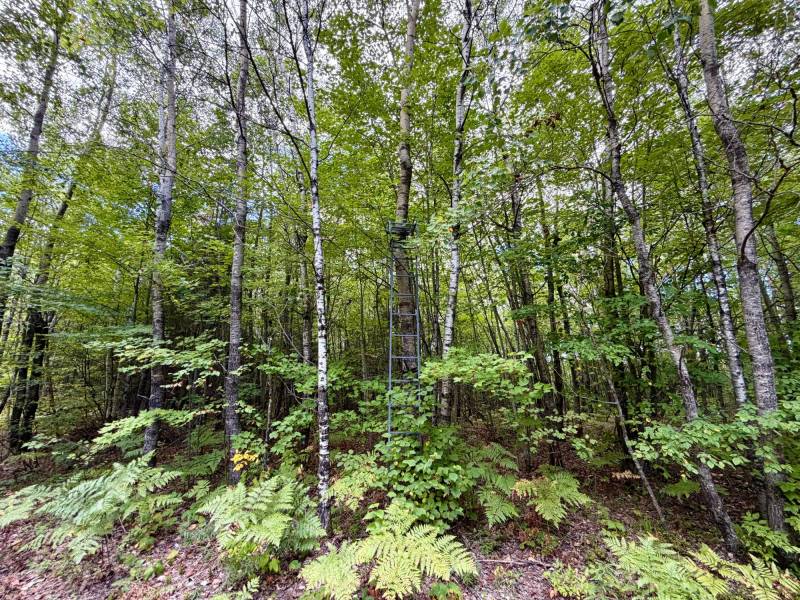103ac On Pine Lake Rd, , Minocqua,  WI 54548 USA