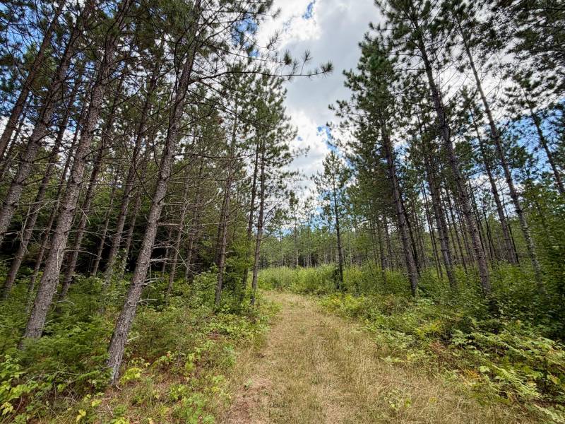 103ac On Pine Lake Rd, , Minocqua,  WI 54548 USA