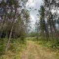 103ac On Pine Lake Rd, , Minocqua,  WI 54548 USA