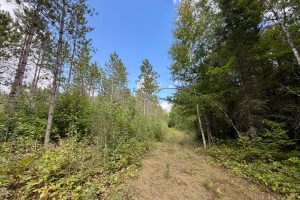 103ac On Pine Lake Rd, , Minocqua,  WI 54548 USA
