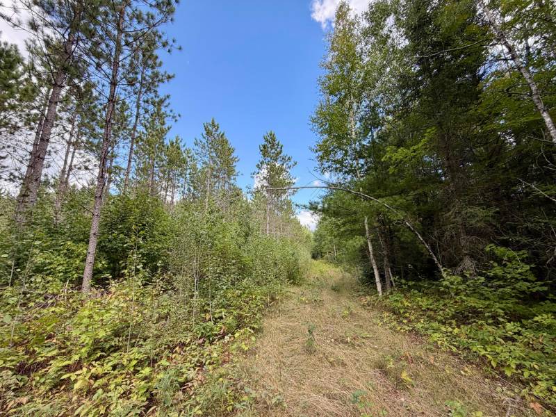 103ac On Pine Lake Rd, , Minocqua,  WI 54548 USA