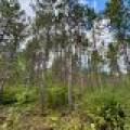 103ac On Pine Lake Rd, , Minocqua,  WI 54548 USA