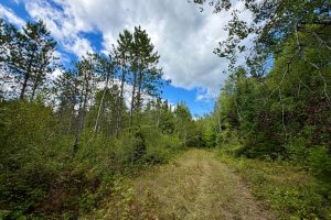 103ac On Pine Lake Rd, , Minocqua,  WI 54548 USA