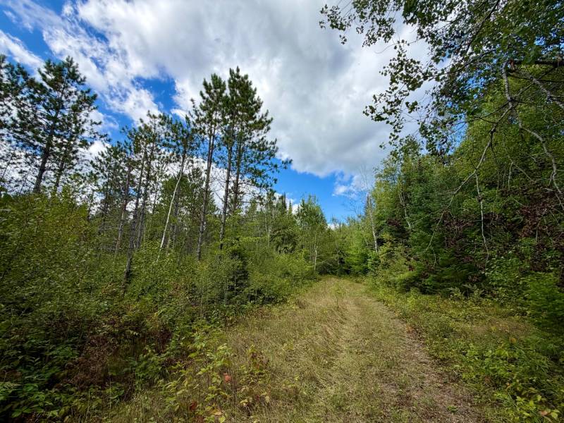 103ac On Pine Lake Rd, , Minocqua,  WI 54548 USA
