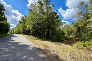 103ac On Pine Lake Rd, , Minocqua,  WI 54548 USA