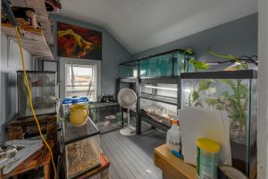302 E Pine St, , Eagle River,  WI 54521 USA