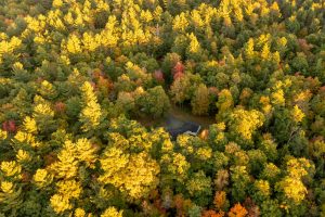 3721 Forest Ln, , Conover,  WI 54519 USA